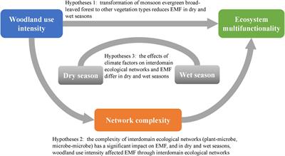 Interdomain plant–microbe and fungi–bacteria ecological networks under different woodland use intensity during the dry and wet season